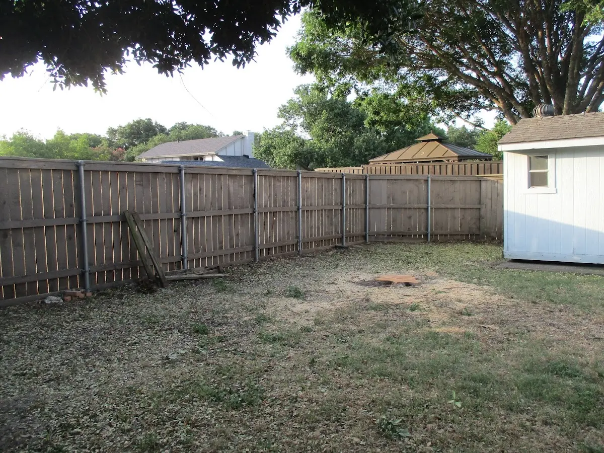 Cleared yard after professional tree removal in Texhoma